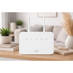 Маршрутизатор Ergo R291