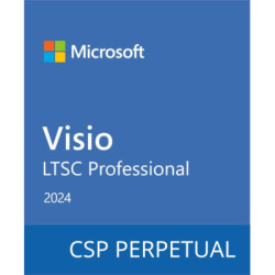 Офісний додаток Microsoft Visio LTSC Professional 2024 Commercial Software, Perpetual (DG7GMGF0PN43_0002)
