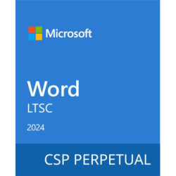Офісний додаток Microsoft Word LTSC 2024 Commercial Software, Perpetual (DG7GMGF0PN41_0002)