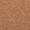 Килимок для мишки 2E Cork S Brown (2E-PAD-S-CORK)