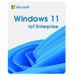 Операційна система Microsoft Windows 11 IoT Enterprise LTSC 2024 Perpetual, Commercial, OneTime (DG7GMGF0PP49_0001)
