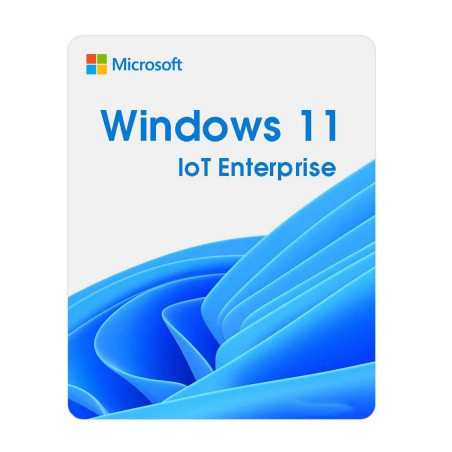 Операційна система Microsoft Windows 11 IoT Enterprise LTSC 2024 Perpetual, Commercial, OneTime (DG7GMGF0PP49_0001)