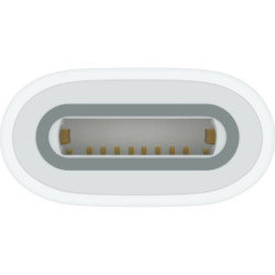 Адаптер Apple USB-C to Apple Pencil Adapter (MWML3ZM/A)
