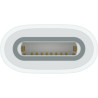 Адаптер Apple USB-C to Apple Pencil Adapter (MWML3ZM/A)