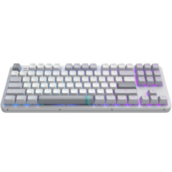Клавіатура Dark Project ALU87 Daylight ABS RGB Mech G3MS Zircon White/Grey (DPKB_DAYLIGHT_87_ANSI_UA)