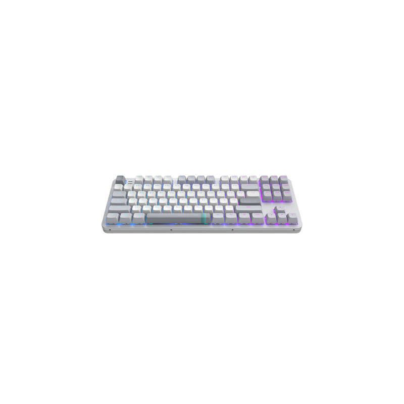 Клавіатура Dark Project ALU87 Daylight ABS RGB Mech G3MS Zircon White/Grey (DPKB_DAYLIGHT_87_ANSI_UA)