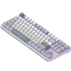 Клавіатура Dark Project ALU87 Daylight ABS RGB Mech G3MS Zircon White/Grey (DPKB_DAYLIGHT_87_ANSI_UA)