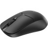 Мишка Rapoo 1510 Wireless Black (1510 Black)