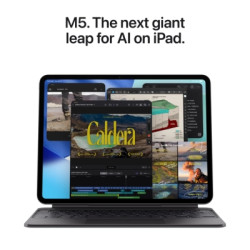 Планшет Apple iPad Pro 13" M5 Wi‑Fi + Cellular 512GB with standard glass - Space Black (ME7Y4TY/A)