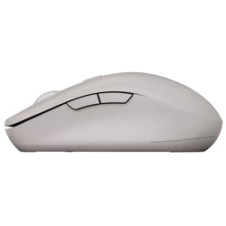 Мишка Canyon MW-12 Wireless/Bluetooth Beige (CNS-CMSW12BG)