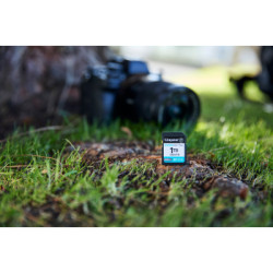 Карта пам'яті Kingston 64GB SDXC сlass 10 UHS-I U3 V30 Canvas Go Plus G4 (SDG4/64GB)