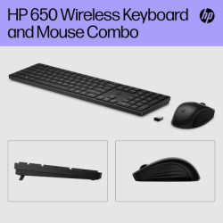 Комплект HP 650 Wireless UA Black (4R013AA)