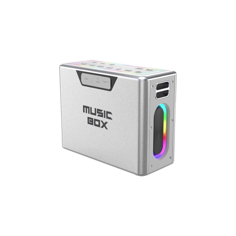 Акустична система HiFuture MusicBox 100W Silver (musicbox.silver)