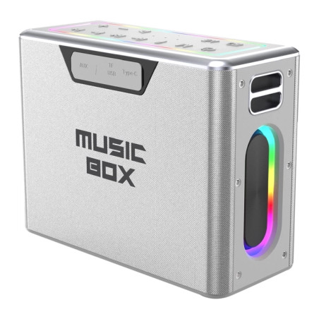 Акустична система HiFuture MusicBox 100W Silver (musicbox.silver)