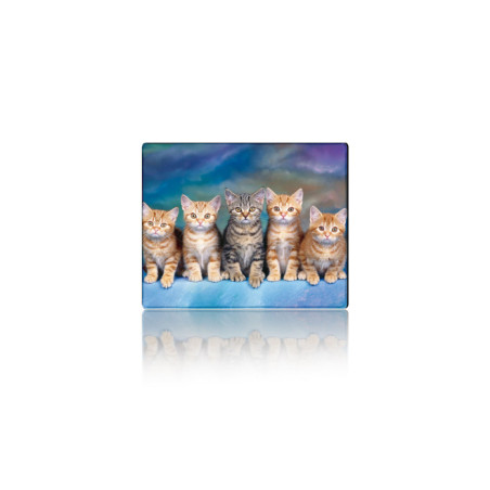 Килимок для мишки Voltronic Five Cats (YT-CAT30)