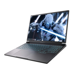 Ноутбук Thunderobot RS16 (RS16-R97945HX57TC1Q240ARB)