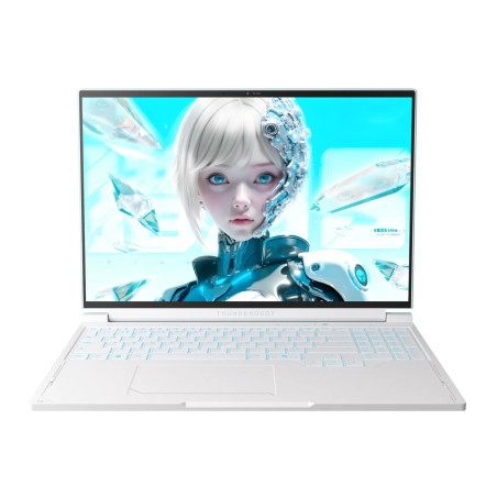 Ноутбук Thunderobot RS16 (RS16-i7136HX56C1Q180RC)