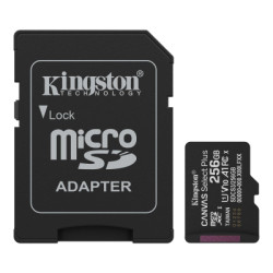 Карта пам'яті Kingston 256GB microSDXC class 10 UHS-I V10 A1 Canvas Select Plus (SDCS3/256GB)
