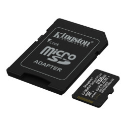 Карта пам'яті Kingston 256GB microSDXC class 10 UHS-I V10 A1 Canvas Select Plus (SDCS3/256GB)