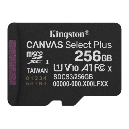 Карта пам'яті Kingston 256GB microSDXC class 10 UHS-I U1 V10 A1 Select Plus (SDCS3/256GBSP)