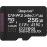 Карта пам'яті Kingston 256GB microSDXC class 10 UHS-I U1 V10 A1 Select Plus (SDCS3/256GBSP)
