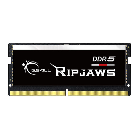 Модуль пам'яті для ноутбука SoDIMM DDR5 16GB 4800 MHz Ripjaws G.Skill (F5-4800S4039A16GX1-RS)