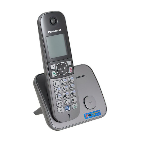 Телефон DECT Panasonic KX-TG6811UAM