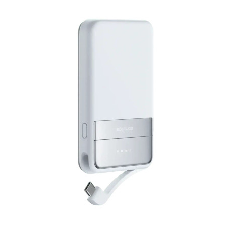 Батарея універсальна EcoFlow RAPID Magnetic Power Bank 5000 Light Blue (EF-RAPID5000-L-EU)