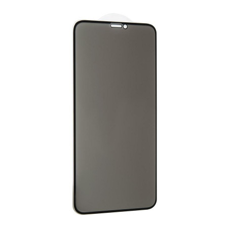 Скло захисне Gelius Pro 5D Privasy Glass for iPhone XS Max Black (00000070959)