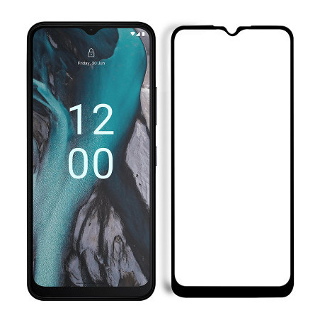 Скло захисне PowerPlant Full screen PowerPlant C22 (GL603166)