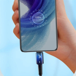 Дата кабель USB 2.0 AM to USB-C 3.0m 100W black Essager (EXC7A-CGC01-P)