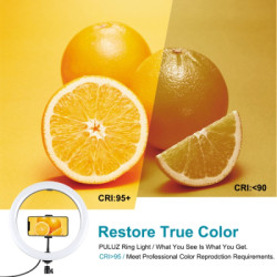 Набір блогера Puluz Ring USB LED lamp PKT3084B 4.7" + table stand (PKT3084B)