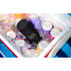 Акустична система JBL Grip Black (JBLGRIPBLK)