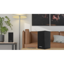 Акустична система REAL-EL S-202 USB Black (EL121200019)