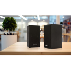 Акустична система REAL-EL S-202 USB Black (EL121200019)