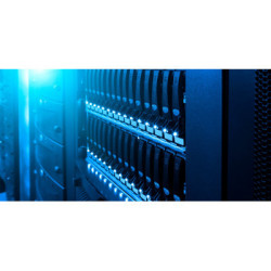 Жорсткий диск 3.5" 6TB WD (WD6004FRYZ)