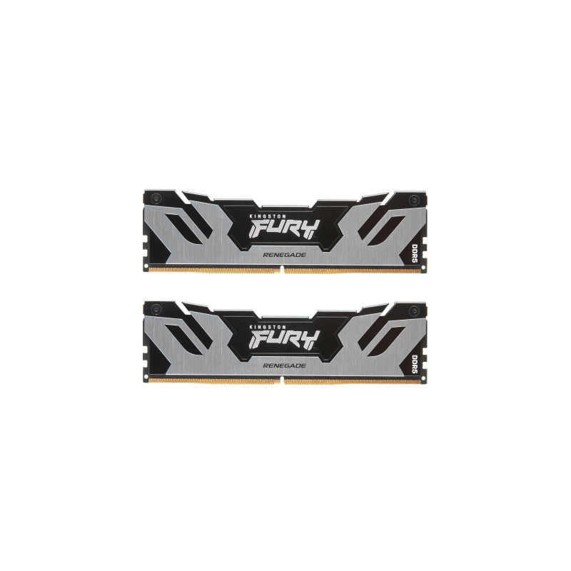 Модуль пам'яті для комп'ютера DDR5 96GB (2x48GB) 6400 MHz Renegade Silver XMP Kingston Fury (ex.HyperX) (KF564C32RSK2-96)