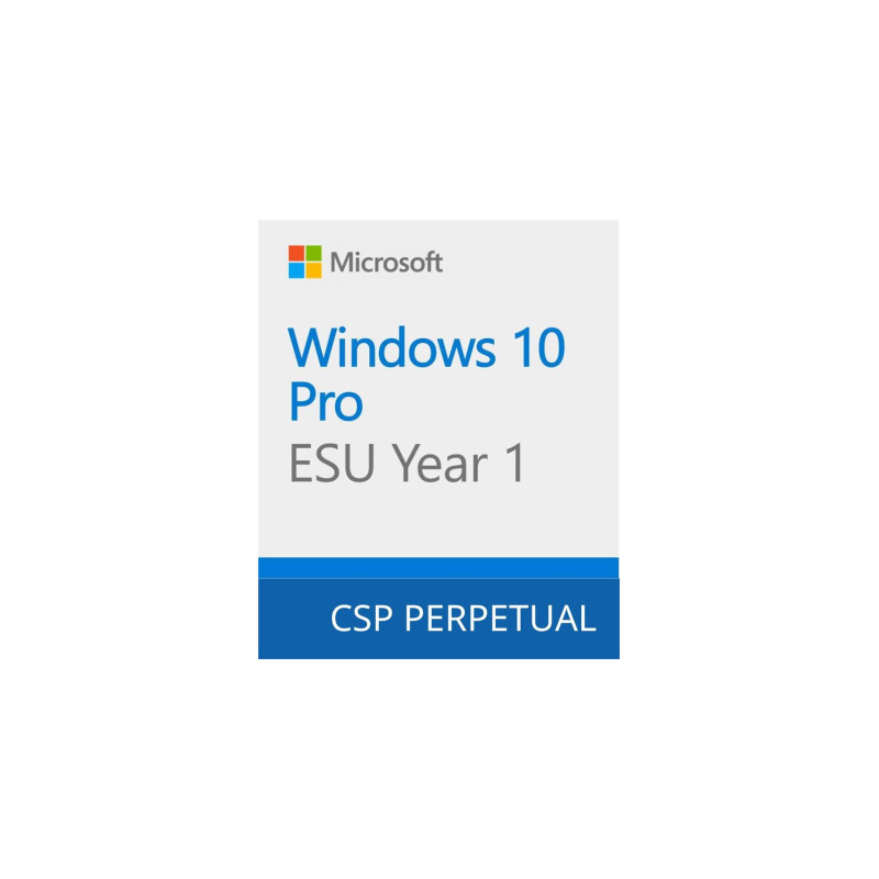 Операційна система Microsoft Windows 10 ESU Year 1 (2025 - 2026) Extended Security Updates (ESU) (DG7GMGF0SSGZ_0004)