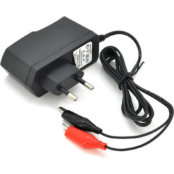 Мережевий зарядний пристрій для АКБ Merlion PPI-602000