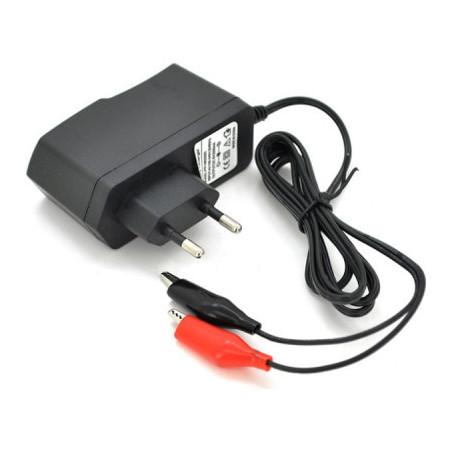 Мережевий зарядний пристрій для АКБ Merlion PPI-602000