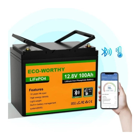 Батарея LiFePo4 Eco-Worthy 12.8V 100Ah LCD (Eco-Worthy-12100bt)