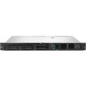 Сервер Hewlett Packard Enterprise DL20 Gen11 (P65393-421)