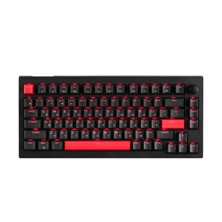 Клавіатура Lemokey Keychron X4 Brown Red LED USB Black (X4-A3-UA)