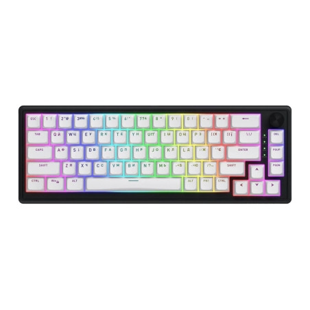 Клавіатура Hator Skyfall 65 MAG ULTRA 8K Aurum Ice RGB USB UA Black/White (HTK1860UA)