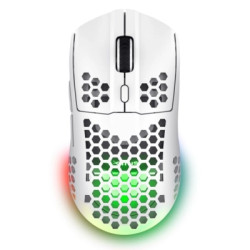 Мишка Trust GXT 929 Helox Wireless/USB-A White (25390)