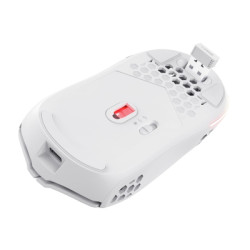 Мишка Trust GXT 929 Helox Wireless/USB-A White (25390)