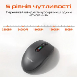 Мишка Meetion BTM100R Wireless/Bluetooth Black (MT-BTM100R-A)