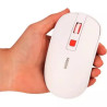 Мишка Xiaomi MiiiW Lite Wireless/Bluetooth White (MW23M21 White)